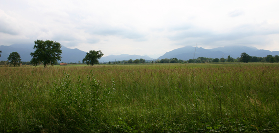 Landschaft in der Nähe des Achendeltas, © Chiemsee Camping